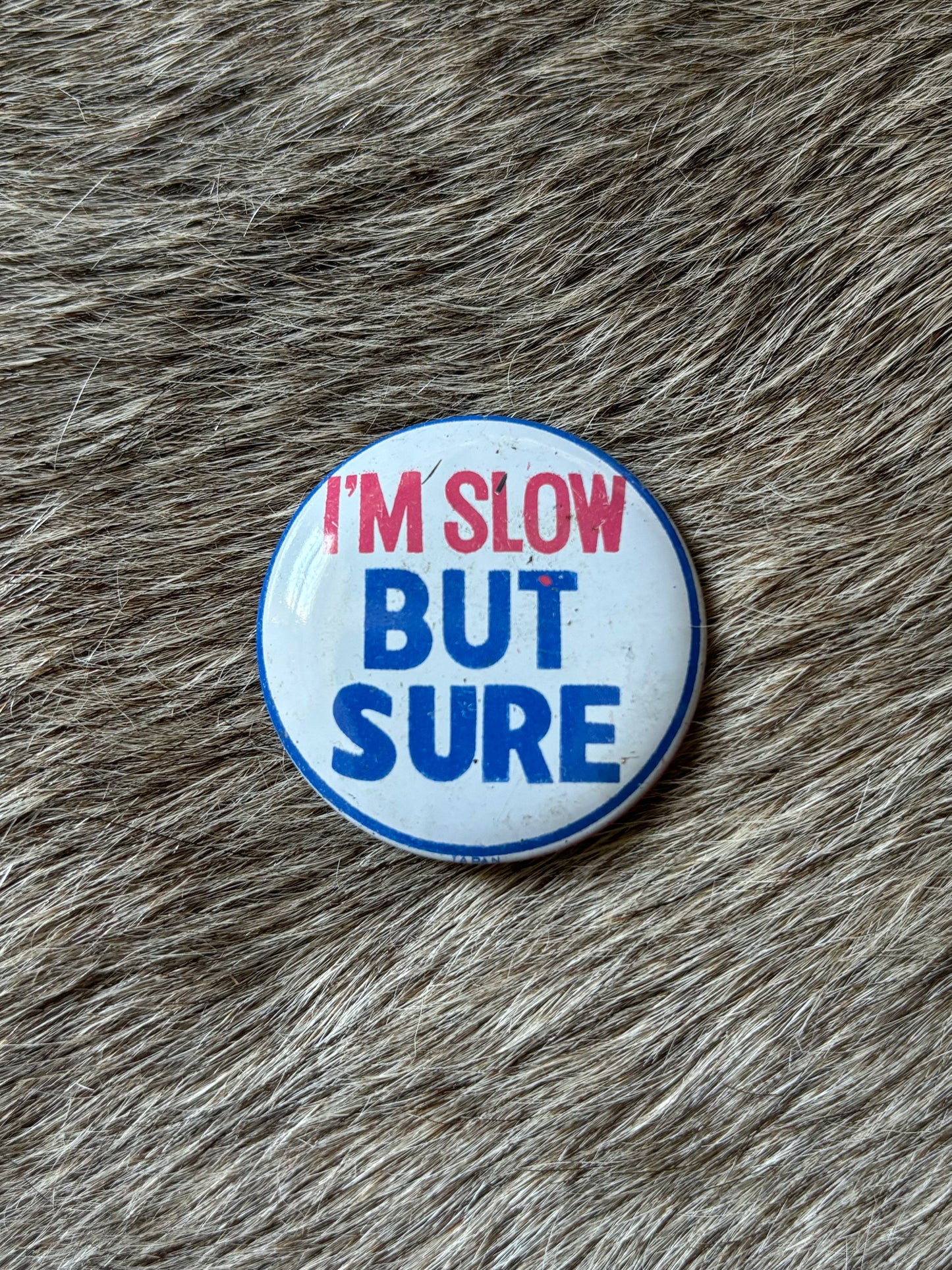 I'm Slow But Sure Pin