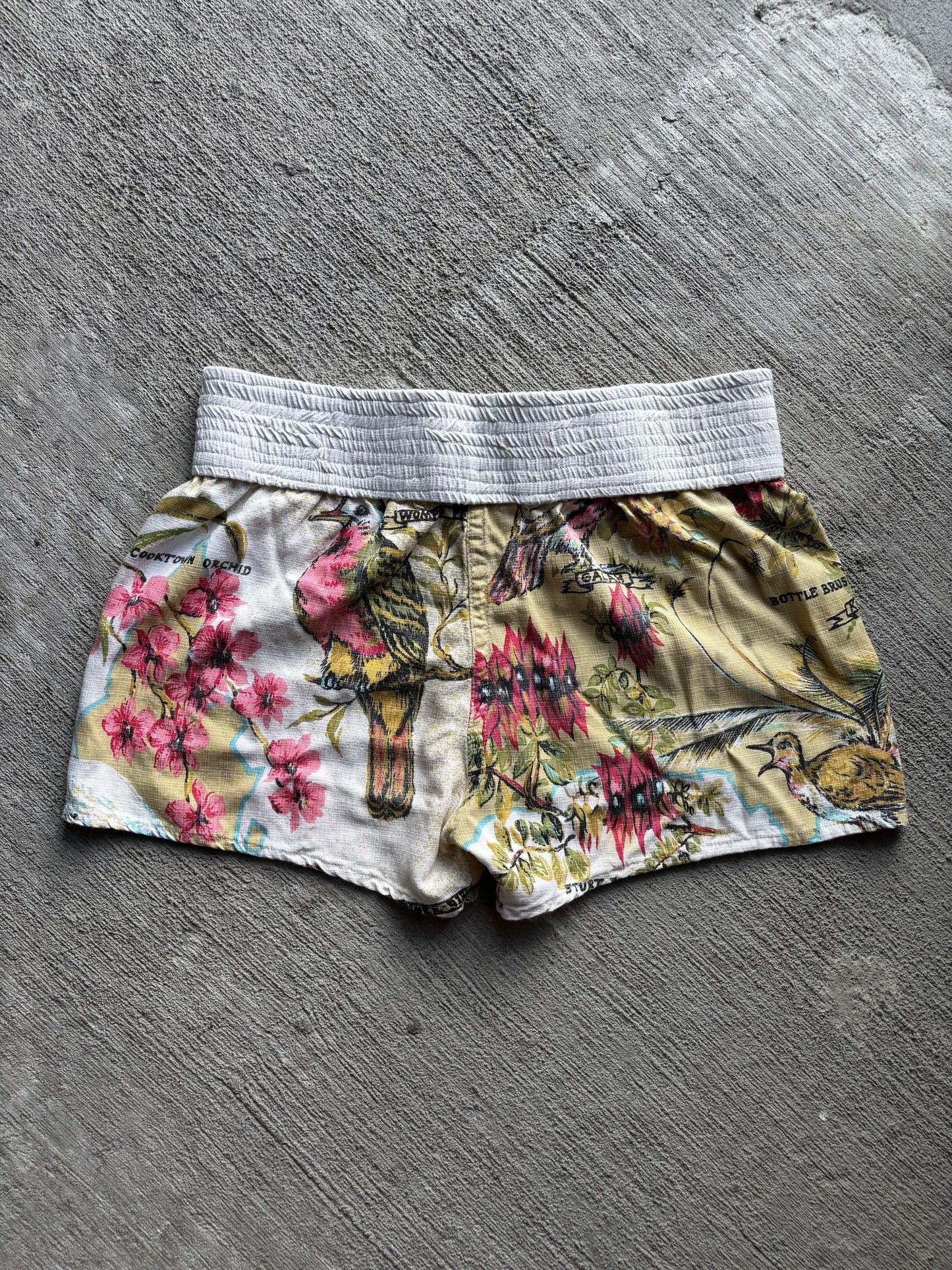1:1 Australian Nature Muay Thai Shorts (M)